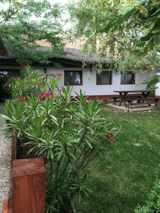 Balatonkenesei Nadfedeles Lovas Vendeghaz Villa Buitenkant foto