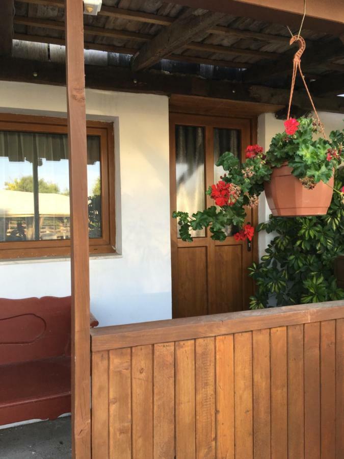 Balatonkenesei Nadfedeles Lovas Vendeghaz Villa Buitenkant foto