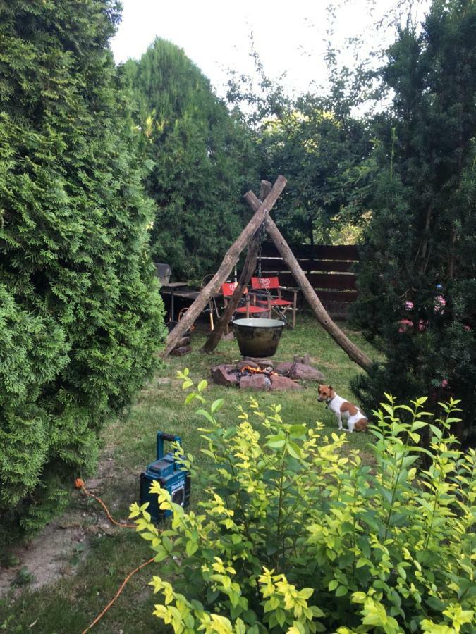 Balatonkenesei Nadfedeles Lovas Vendeghaz Villa Buitenkant foto