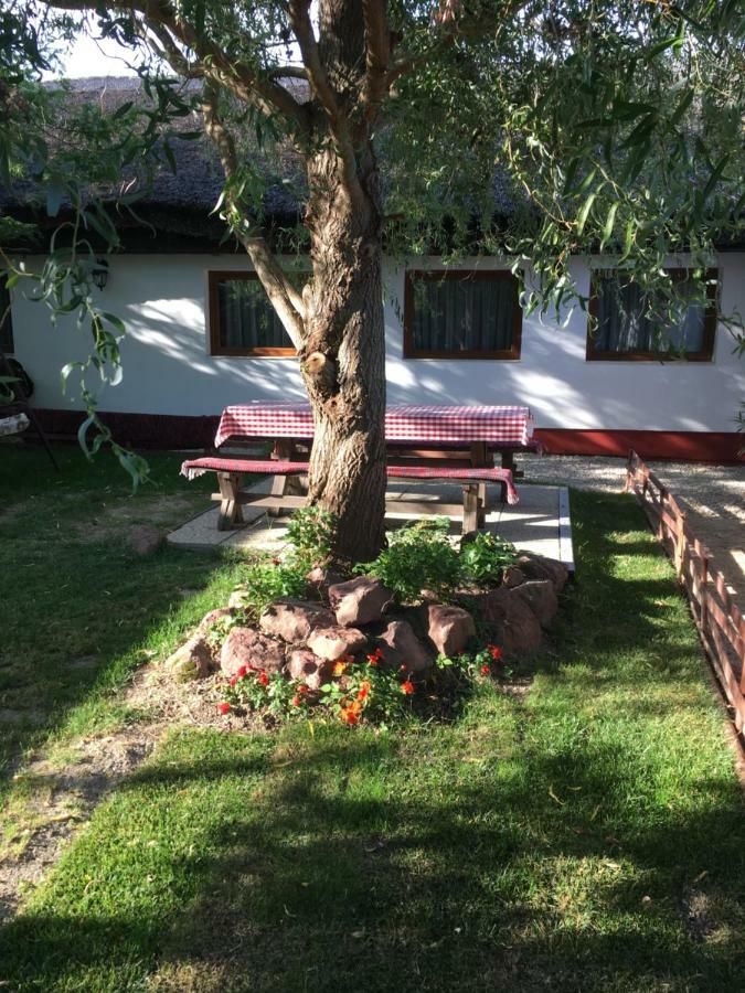 Balatonkenesei Nadfedeles Lovas Vendeghaz Villa Buitenkant foto