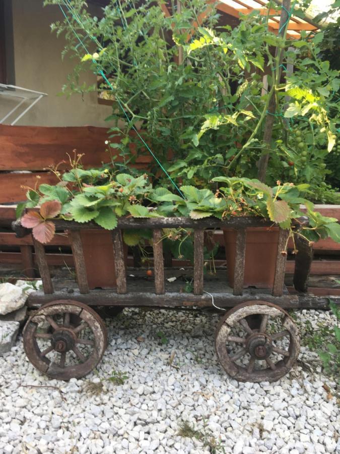 Balatonkenesei Nadfedeles Lovas Vendeghaz Villa Buitenkant foto